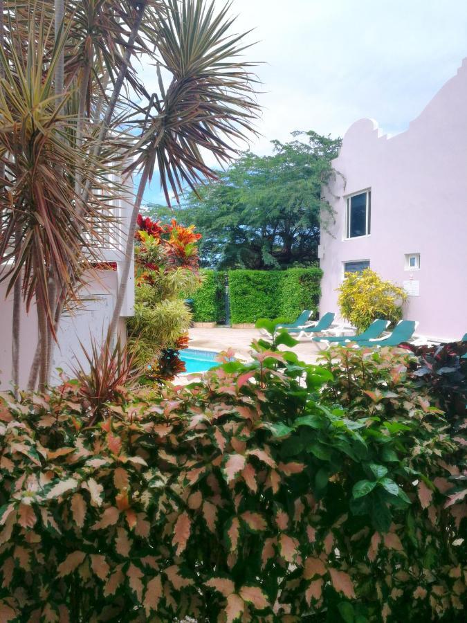 Agua Clara Eco Suites Οράνχεσταντ Εξωτερικό φωτογραφία
